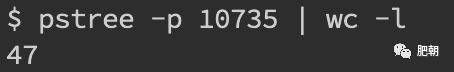 /img/zoom-16.image.png /img/zoom-16.image.png